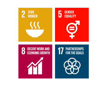 The UN Global Goals of Sustainable Development