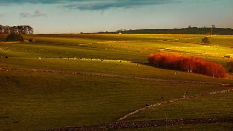 NATURE ET ENVIRONNEMENT